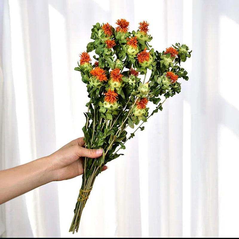 Dried Safflower - Set Of Five