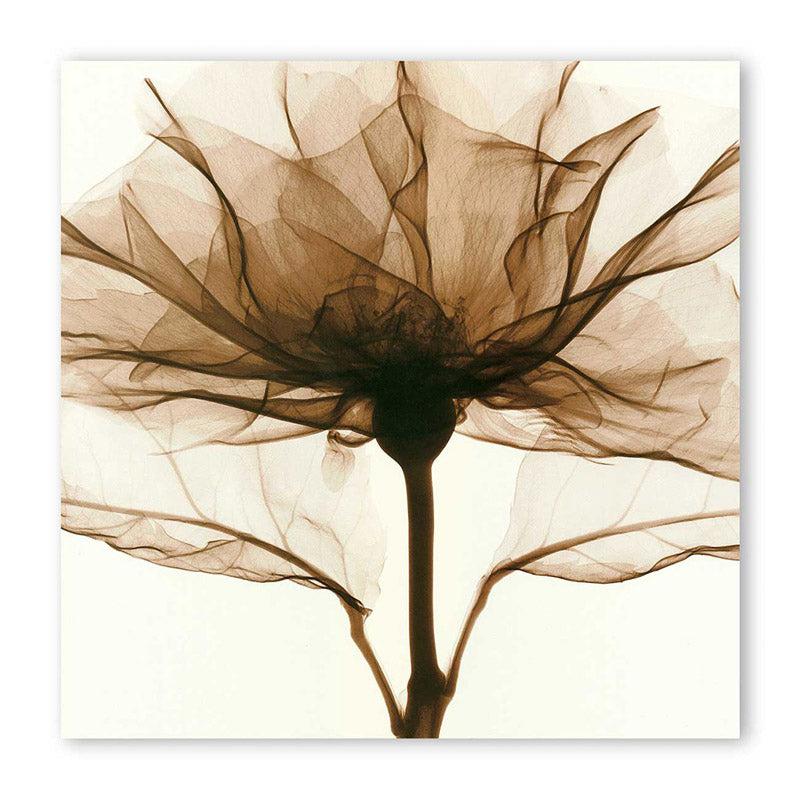 Austin Floral Cotton Canvas Wall Art media 5