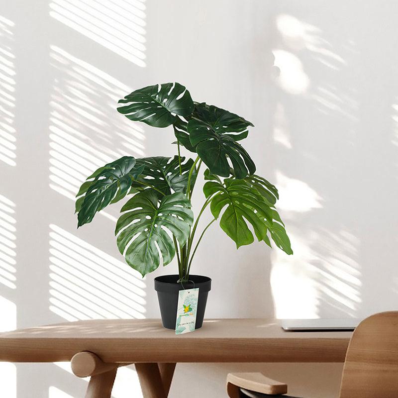 Faux Everlasting Monstera Plant With Black Plastic Pot - 58 cm media 3