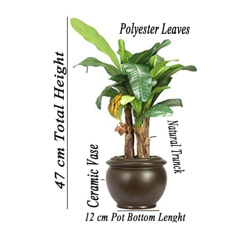 Faux Banana Bonsai In Ceramic Pot (47 cms) - Big media 4