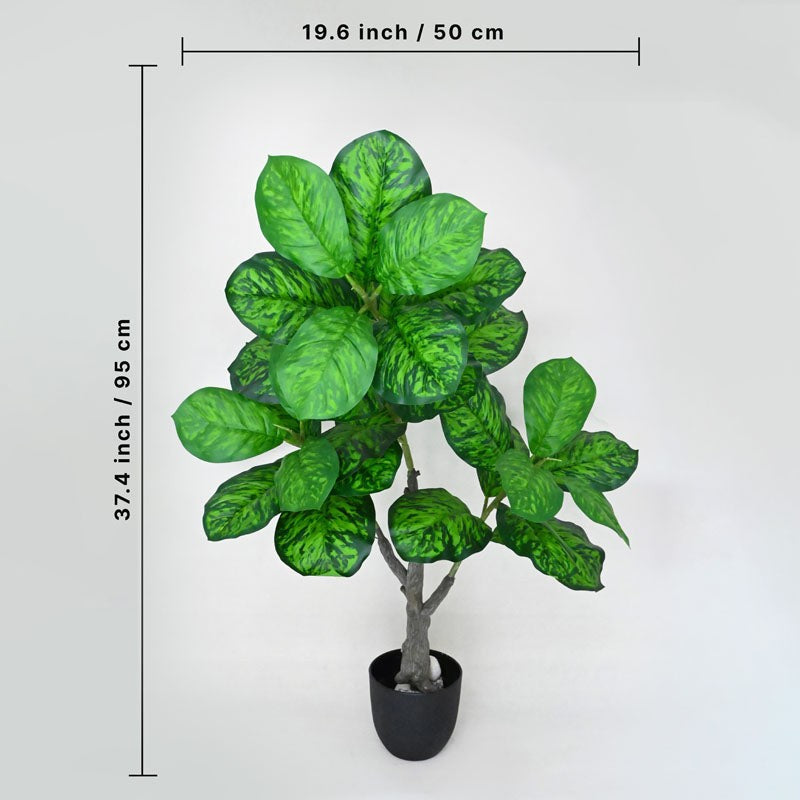 Faux Everlasting Dieffenbachia Seguine Plant With Black Plastic Pot - 95 cm (3.1 ft) media 5
