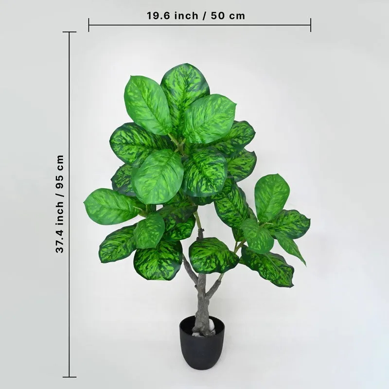 Faux Everlasting Dieffenbachia Seguine Plant With Black Plastic Pot - 95 cm (3.1 ft) - 5