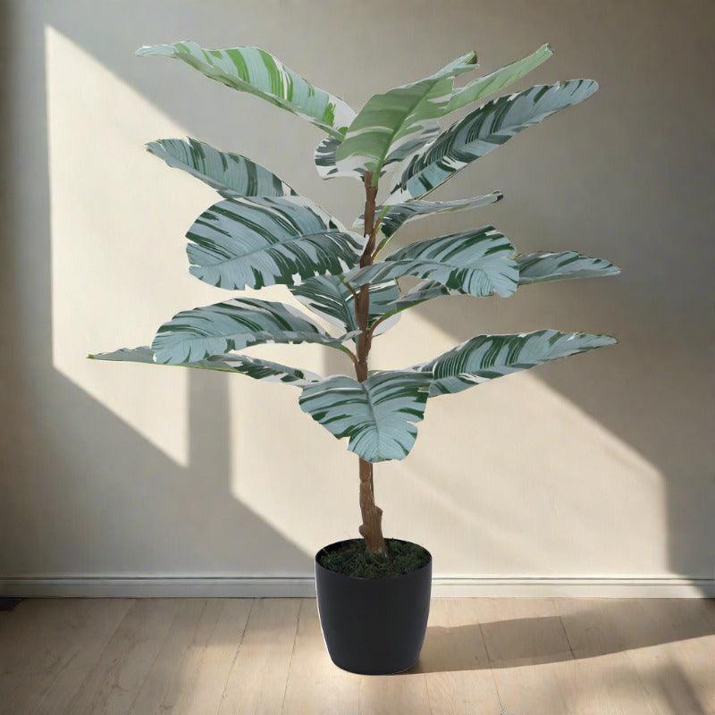 Faux White Calathea Plant With Black Plastic Pot - 2.46 ft media 3