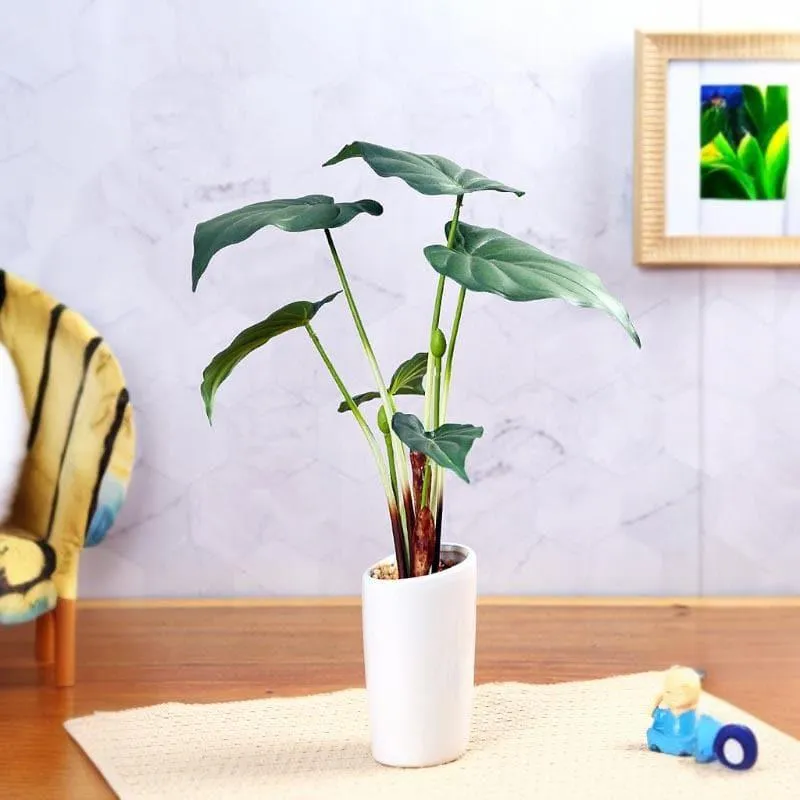 Faux Alocasia Bonsai In Ceramic Pot - 38 cms media 1