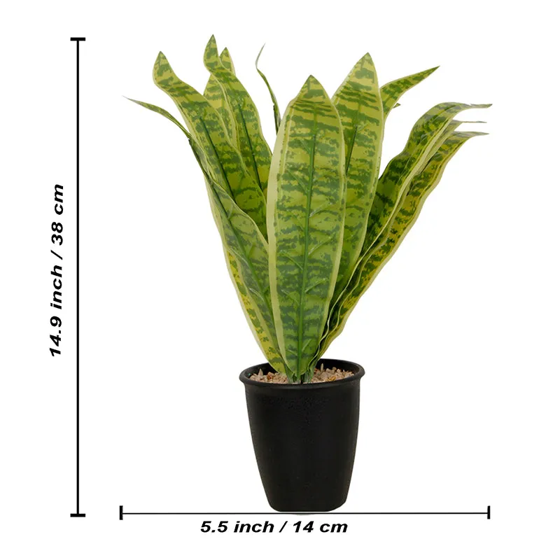 Everine Artificial Snake Plant With Black Plastic Pot - 1.25 Feet media 4