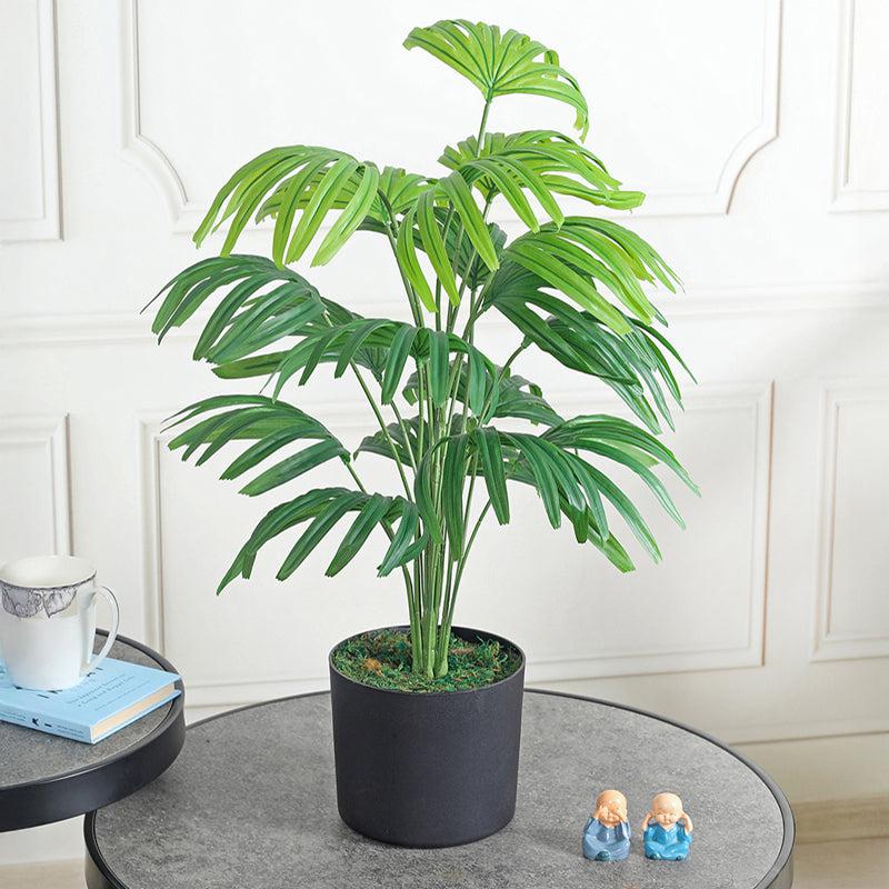 Botanique Artificial Plant With Black Plastic Pot media 3