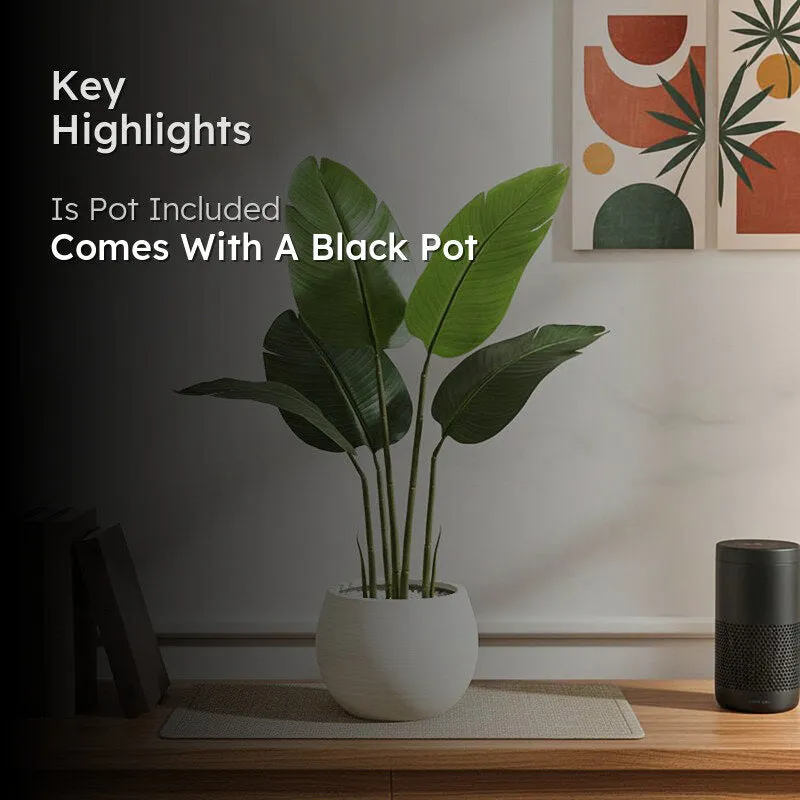 Tropiva Banana Leaf Palm Plant With Black Plastic Pot - 2.6 ft media 2