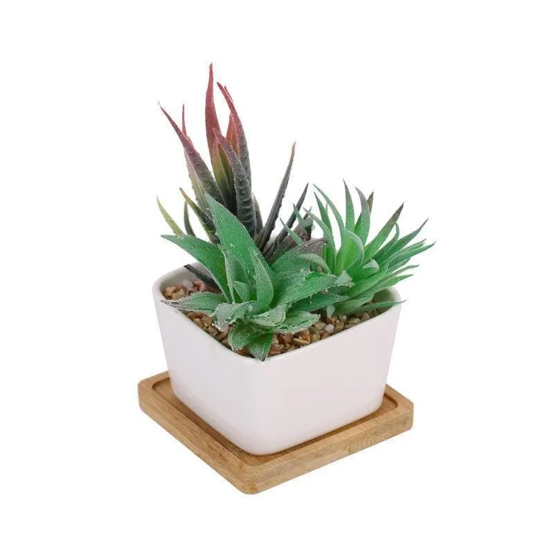 Faux Succulent Set In Square Pot - 14.5 cms media 3