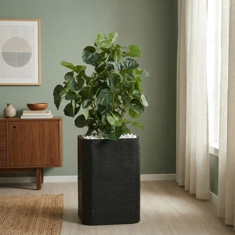 Black rectangular planter holding a leafy plant in a modern living room