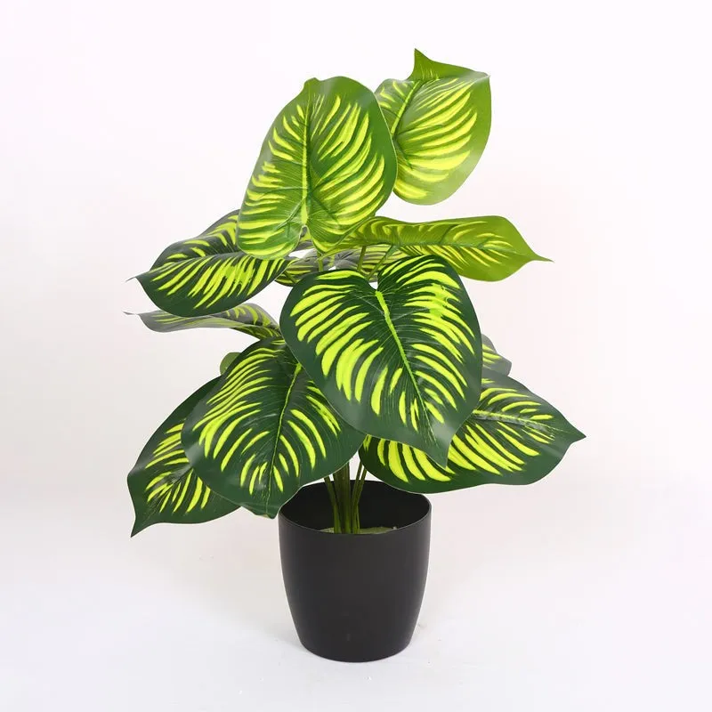 Verdiva I Artificial Plant With Black Plastic Pot - 1.8 Feet media 5