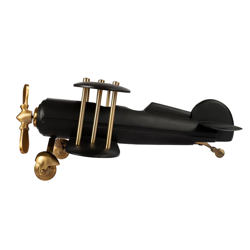 Raven Airplane Showpiece media 4