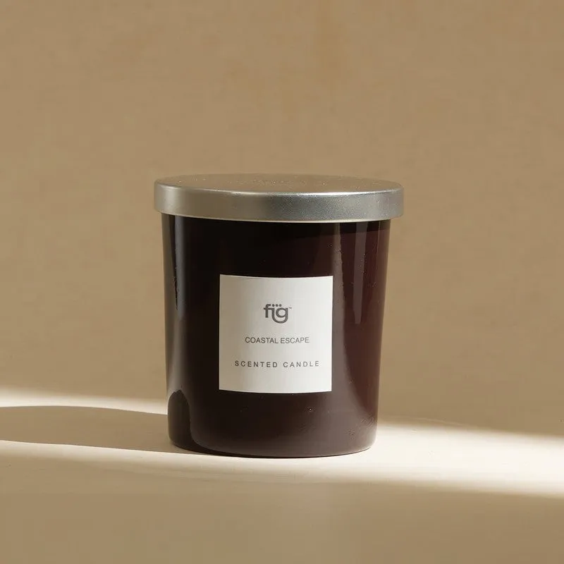 Fig Living Coastal Escape Scented Candle - Mandarin Orange, Jasmine, Musk & Sandalwood media 11