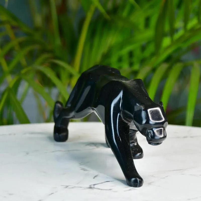 Panther Placeo Showpiece media 6