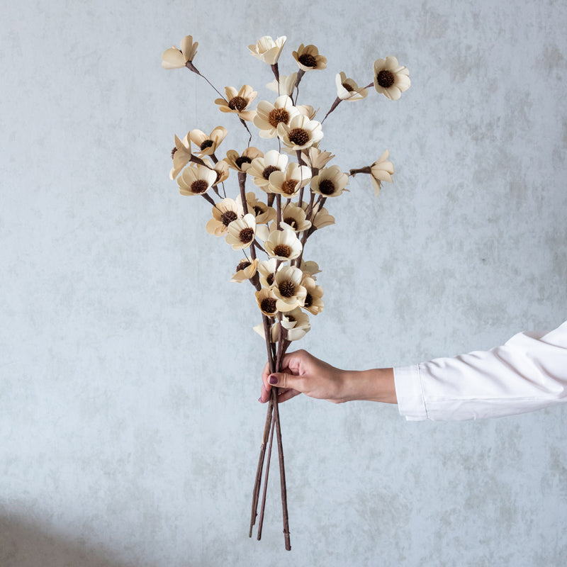 Dried Flowers & Leaves