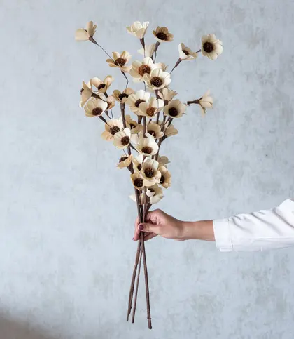 Dried Flowers & Leaves