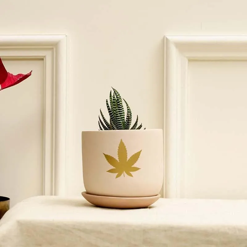 Gold Leaf Planter media 3