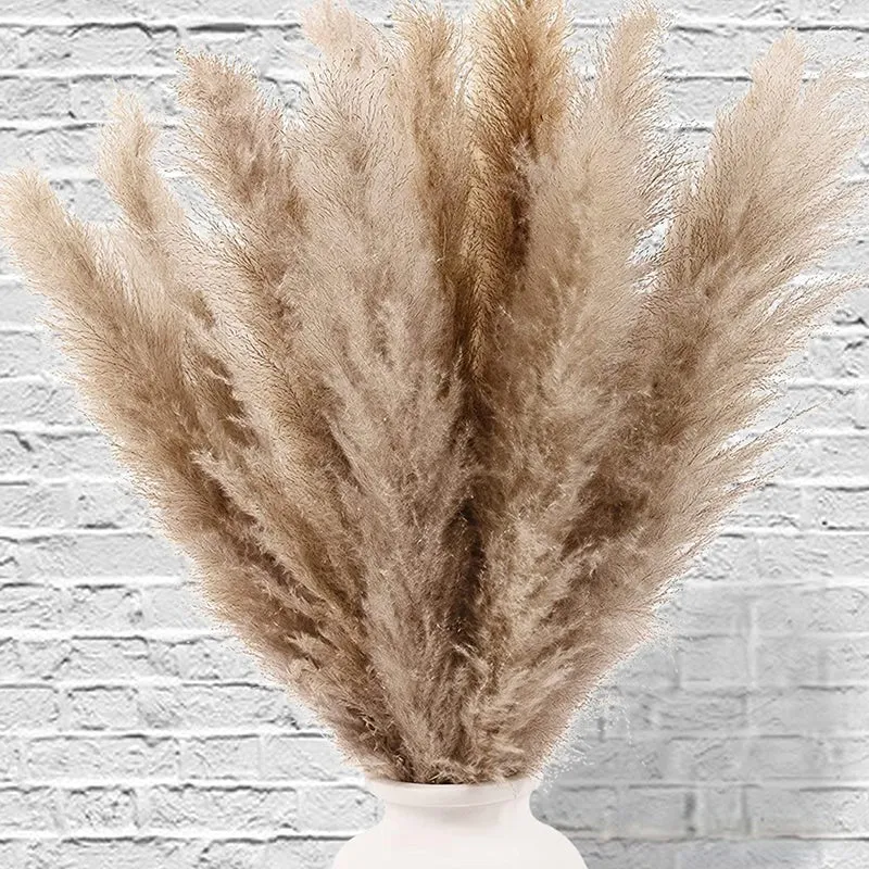 Wander Wisp Dried Pampas Stem (Brown) - Set Of Ten media 1