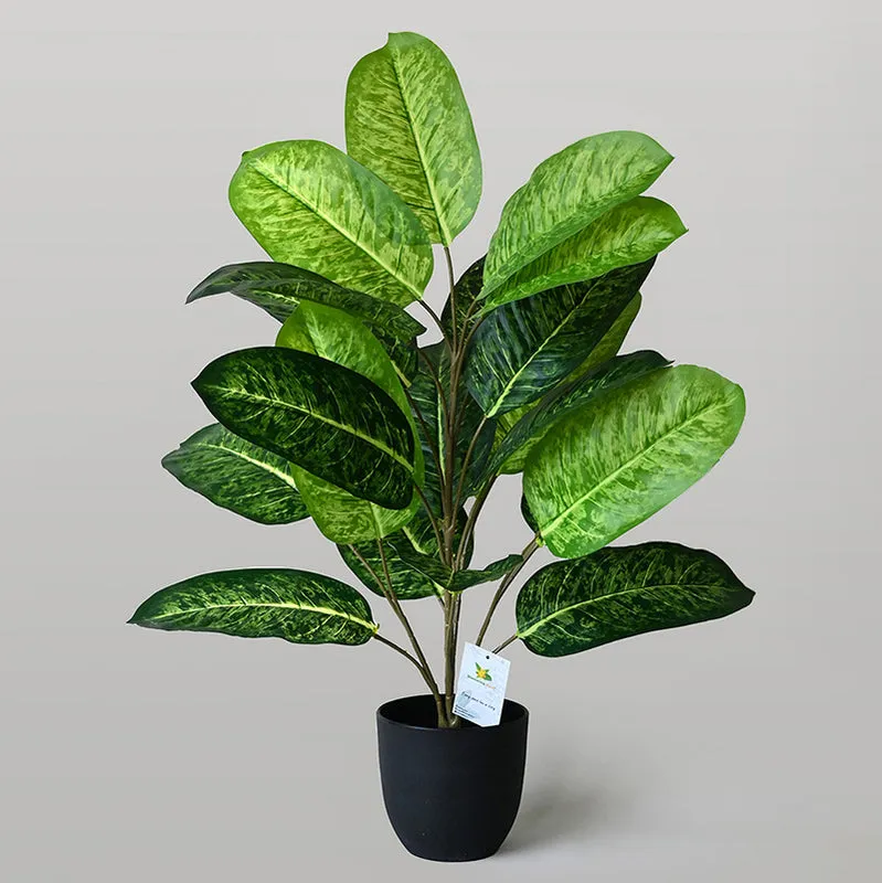 Faux Fiddle Fig Plant With Black Plastic Pot - 79 cm (2.6 ft) media 5