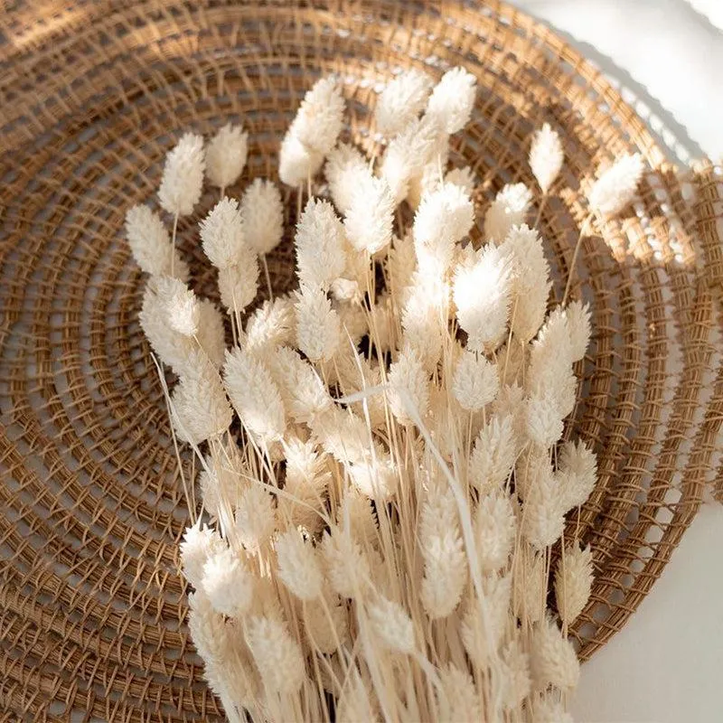Dried Phalaris Flower Stick (White) - Set of Thirty media 3