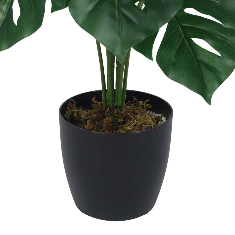 Lush Tropiks Artificial Mostera Plant With Black Plastic Pot -  1.8 Feet media 5