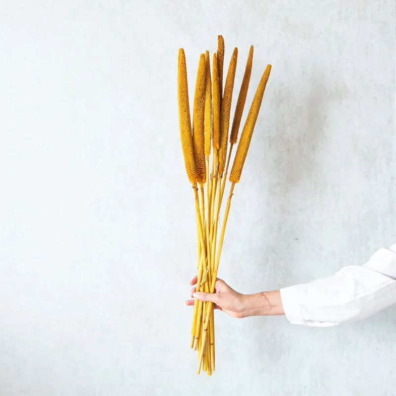 Sival Dried Millet Grass Stick (Yellow) - Set Of Ten media 1