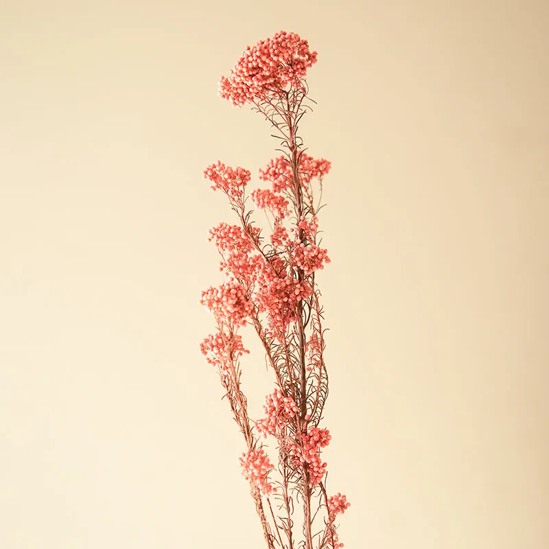 Artificial Rice Flower Stem (Light Pink) - Set Of Three media 4