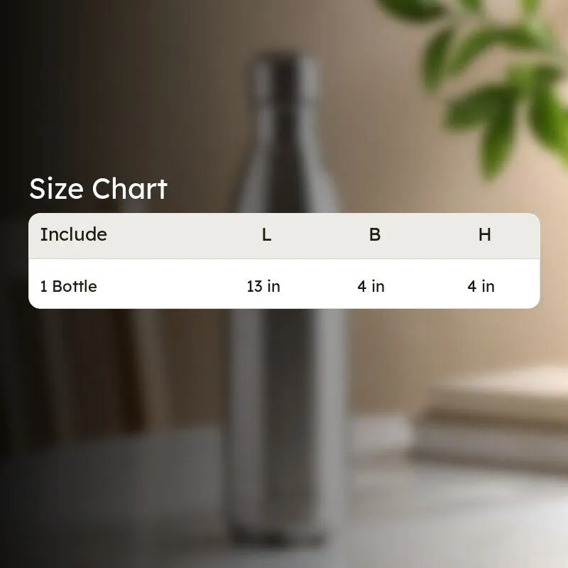 LiquiMate Airtight Bottle (Silver) - 1000 mL media 12