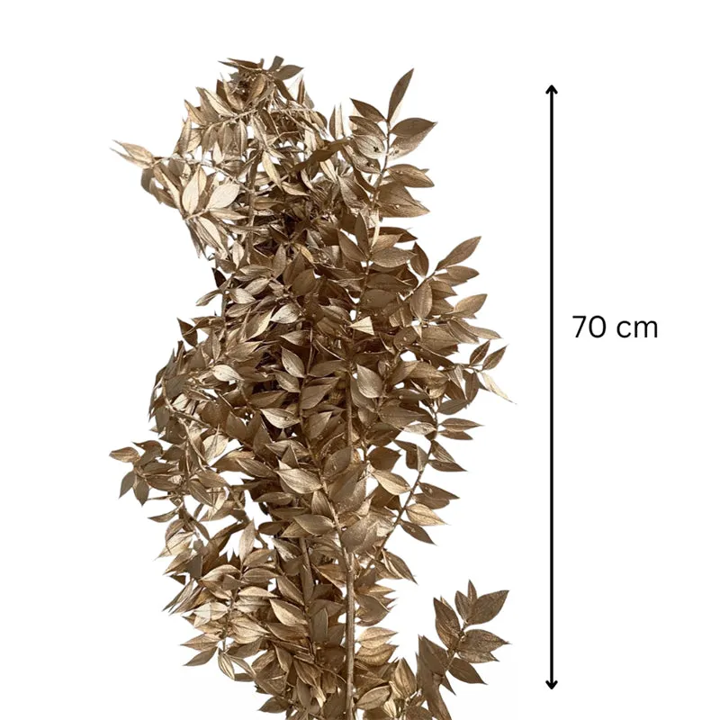 Dried Ruscus Bunch (Gold) - Set Of Three media 9