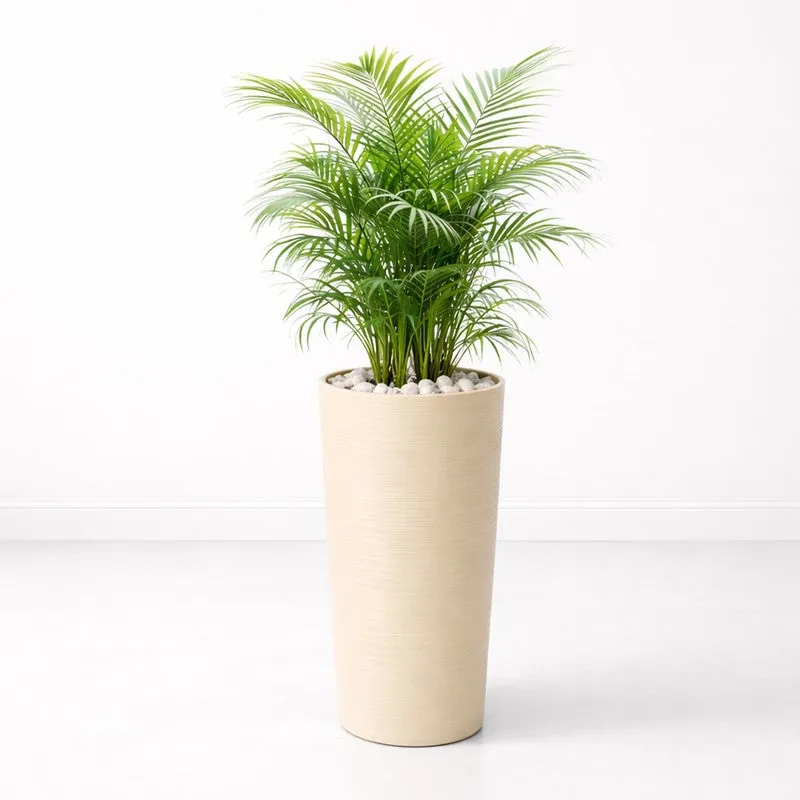 Root Aura Planters - Set Of Two media 5