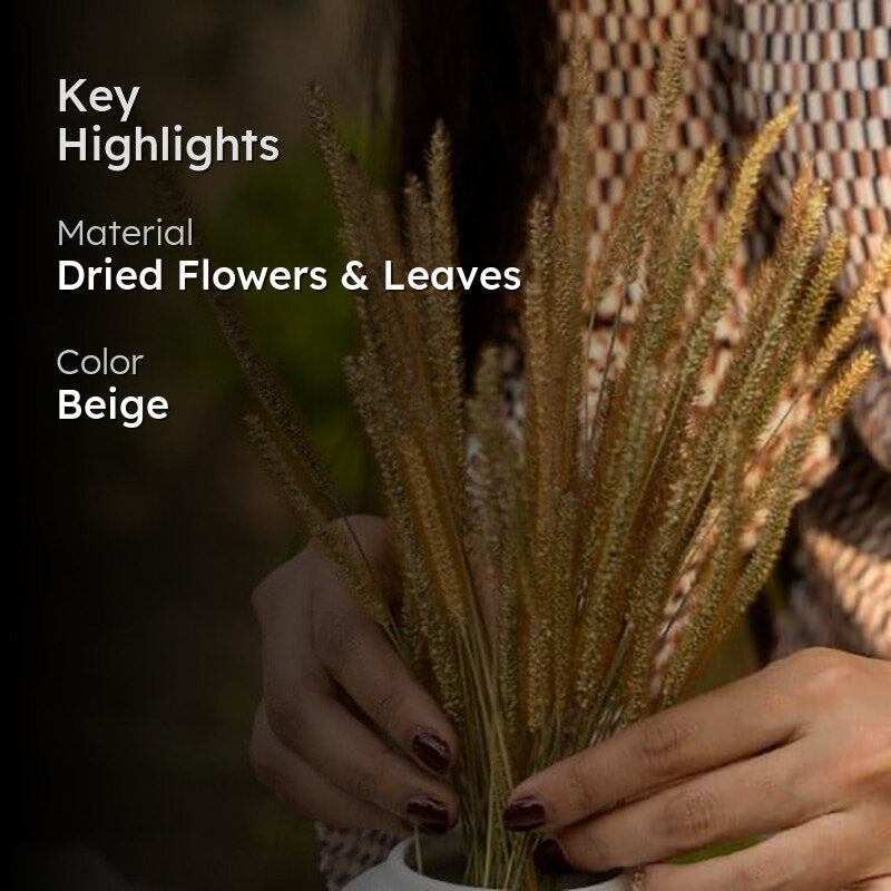 Naturally Dried Rustic Millet Grass media 2