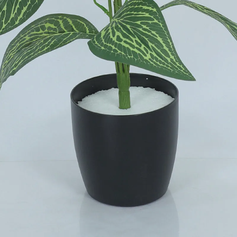 Amazonia Artificial Variegated Croton Plant With Black Plastic Pot - 2.3 Feet media 4