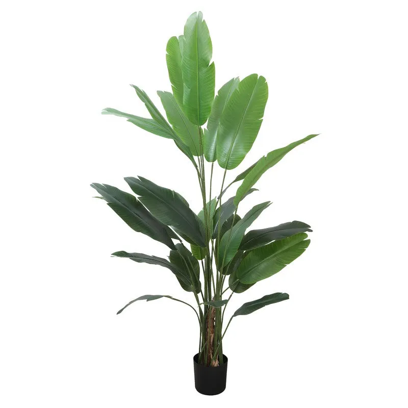 Pure Greens Artificial Plant With Black Plastic Pot - 6.8 ft media 5