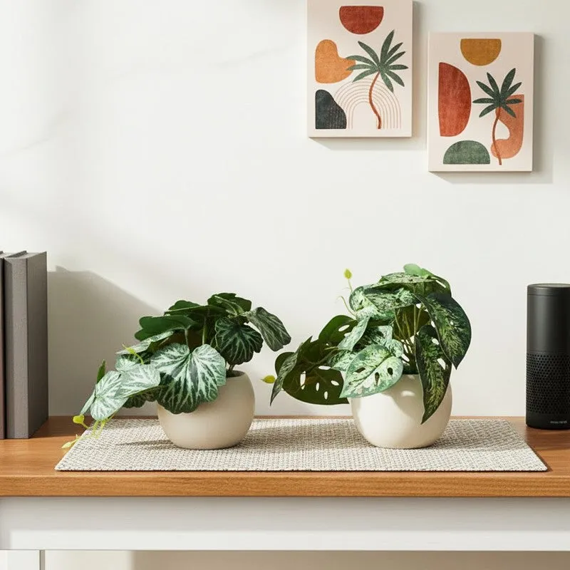 Faux Begonia Plant With Black Plastic Pot (18 cms) - Set Of Two media 1