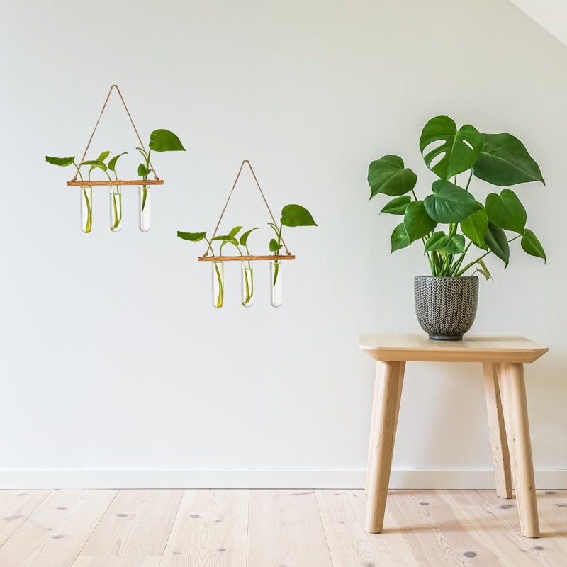 Nava Hanging Test Tube Planter media 5