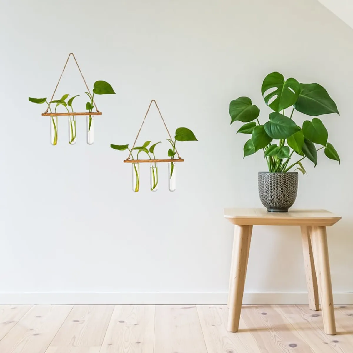 Two matching hanging test tube planters displayed on a white wall beside a potted plant