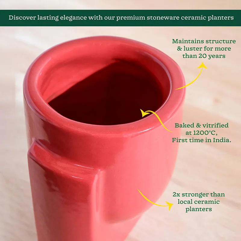 Ugaoo Minimalica Ceramic Planter - Red media 5