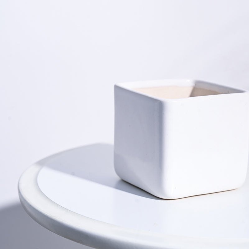 Ugaoo Square White Ceramic Pot media 4