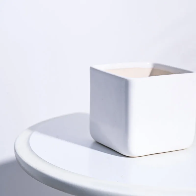 Ugaoo Square White Ceramic Pot media 4
