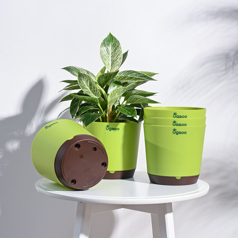 Ugaoo Mossy Bottom Plastic Planter (Green) - Set Of Five media 2