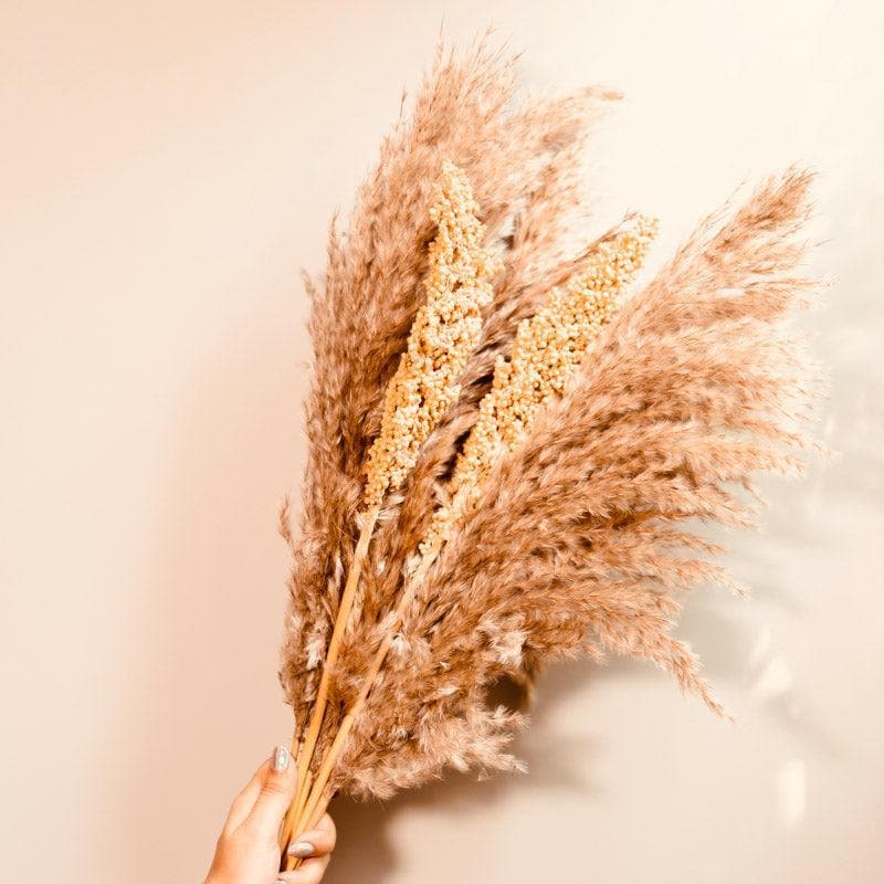 Dried Flowers & Leaves
