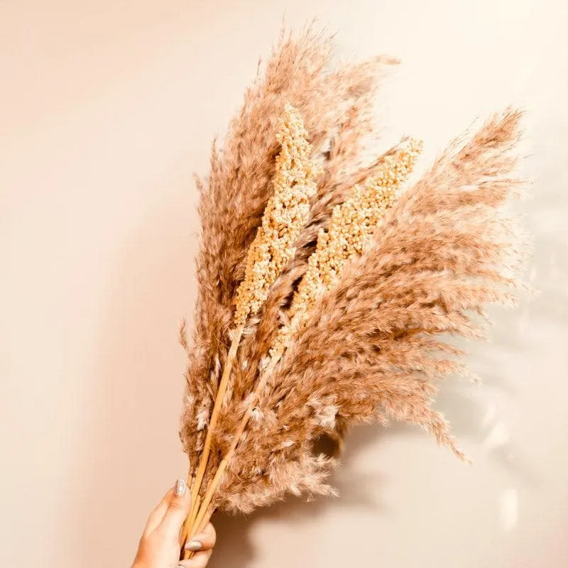 Dried Pampas And Corn Bunch - Set Of Ten media 1