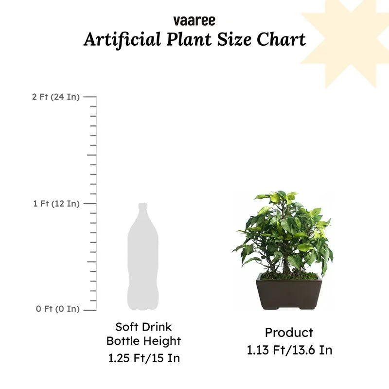 Green Ficus Artificial Bonsai Plant With Ceramic Pot - 1 Feet media 6