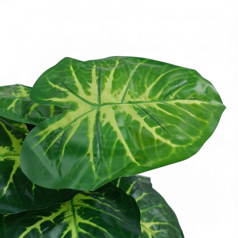 Rootella Artificial Alocasia Plant - 1.5 Feet media 5