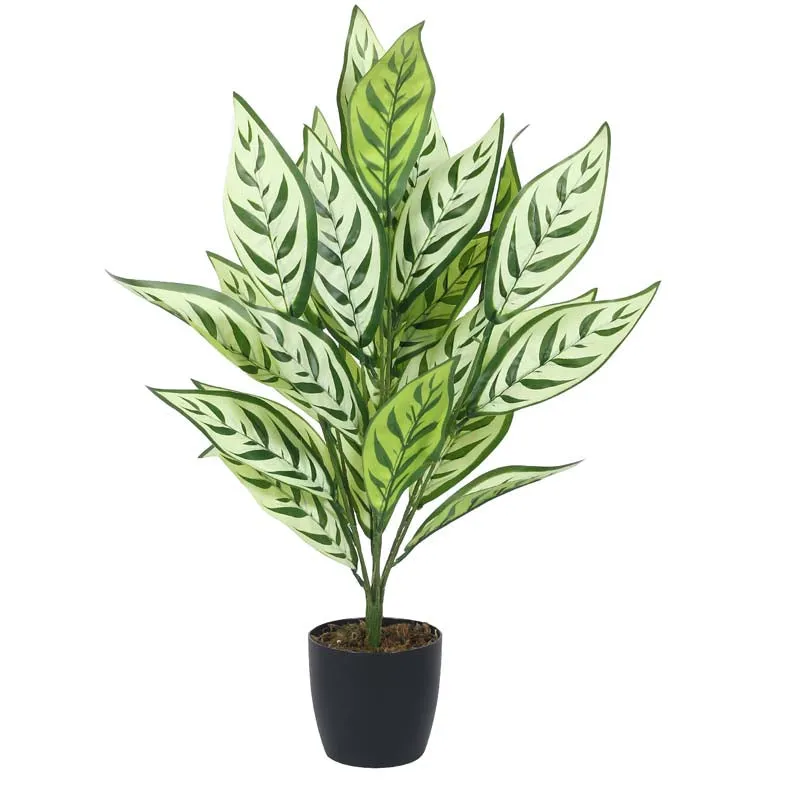 Faux Lush White Dieffenbachia Plant With Black Plastic Pot - 2.3 Feet media 5