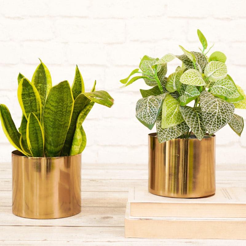 Brida Metal Planter - Set Of Two media 3