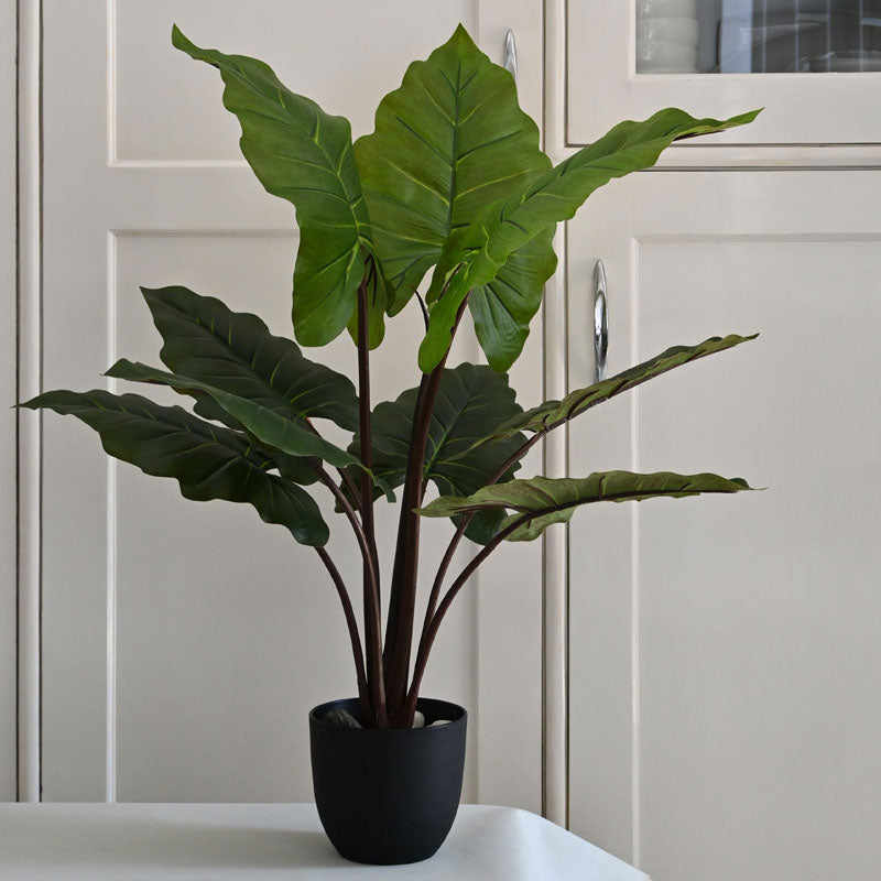 Faux Everlasting Alocasia Plant With Black Plastic Pot - 90 cm (3 ft) media 3