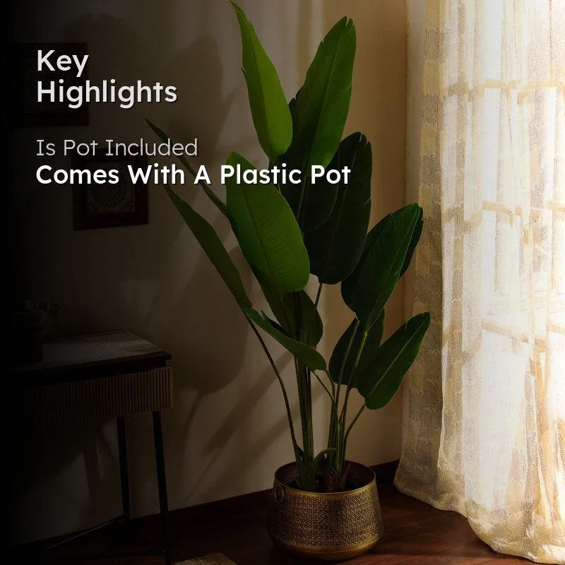 Artificial Banana Tree With Black Plastic Pot - 5.9 Feet media 2