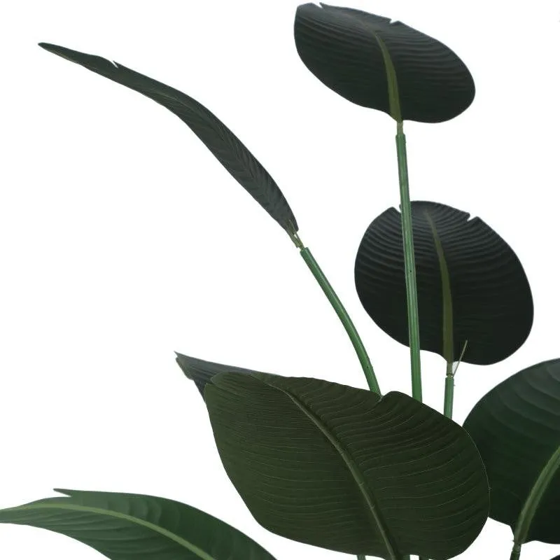 Faux Bird of Paradise Plant With Black Plastic Pot - 5 ft media 6