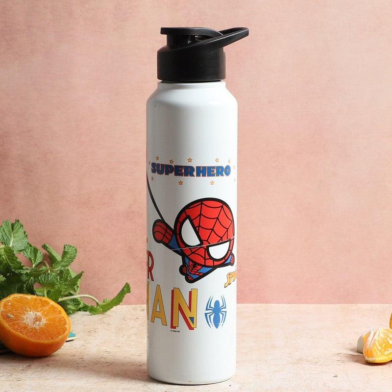 Spidey Kid Sipper Water Bottle - 1000 mL - 1000 mL