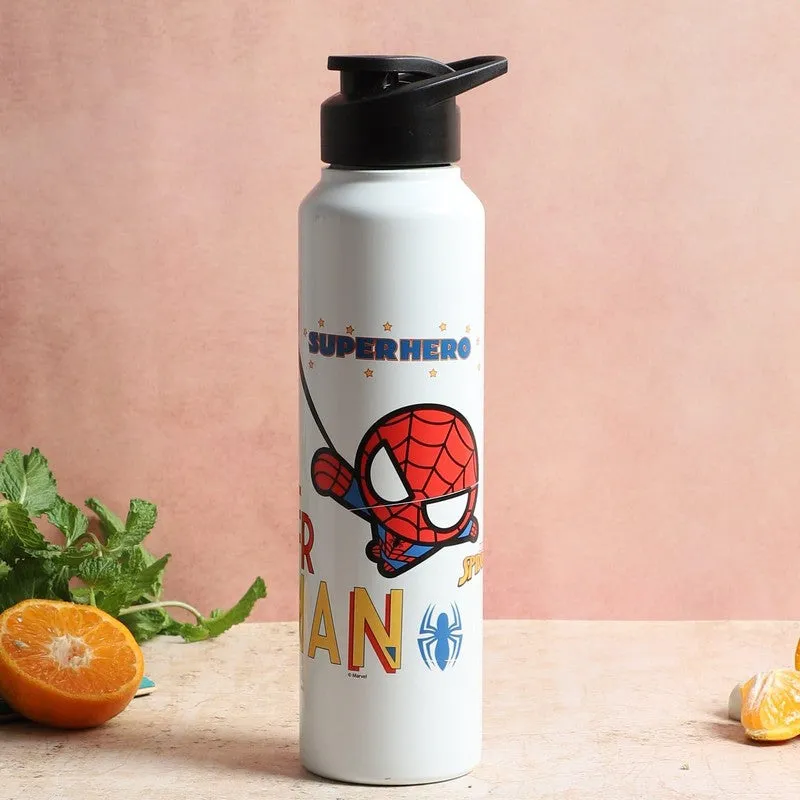 Spidey Kid Sipper Water Bottle - 1000 mL media 1